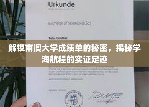 南澳大学成绩单揭秘，探索学途成就的隐秘轨迹