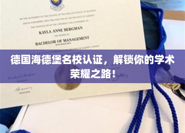 德国海德堡精英学府认证，开启你的学术巅峰之旅！