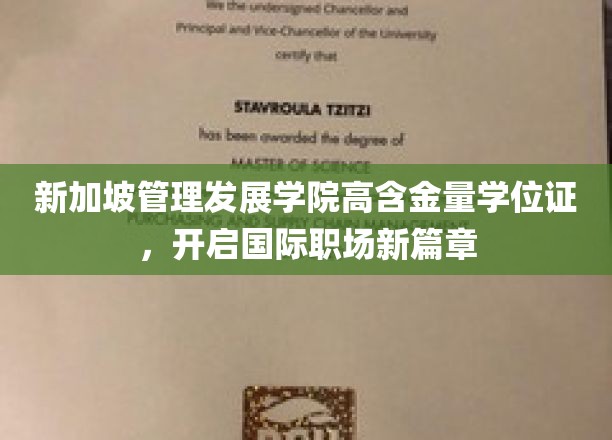 新加坡MDA学院精英学位，助您驰骋国际职场舞台