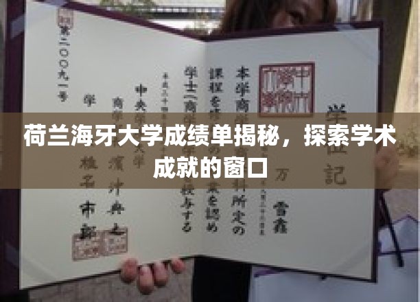 荷兰海牙大学成绩单背后，一窥学术成就的奥秘之门