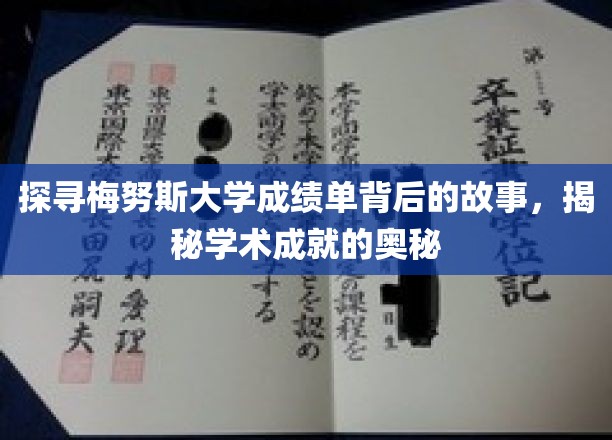 揭开梅努斯大学成绩单的面纱，探寻学术卓越的神秘之源
