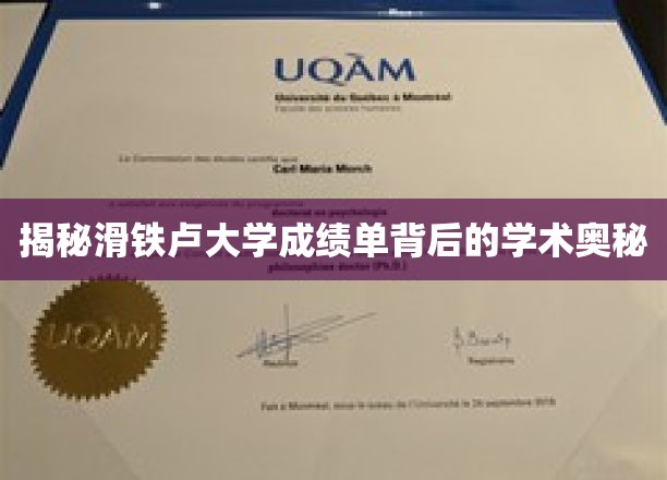 揭秘，滑铁卢大学成绩单的隐藏学术密码