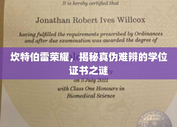 坎特伯雷学位风云，探寻真假证书背后的真相